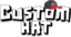 content writer